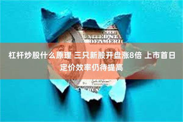 杠杆炒股什么原理 三只新股开盘涨8倍 上市首日定价效率仍待提高