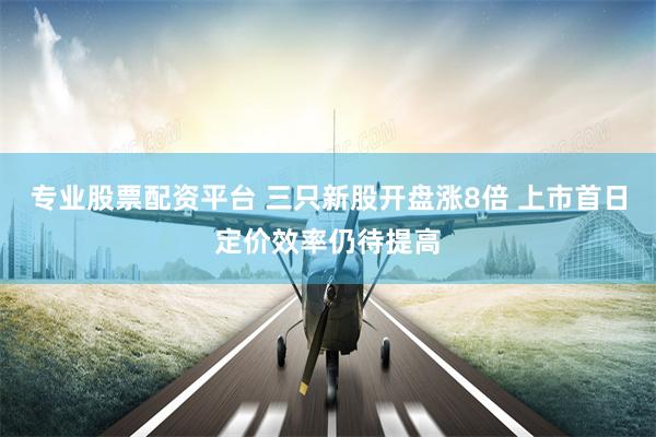 专业股票配资平台 三只新股开盘涨8倍 上市首日定价效率仍待提高