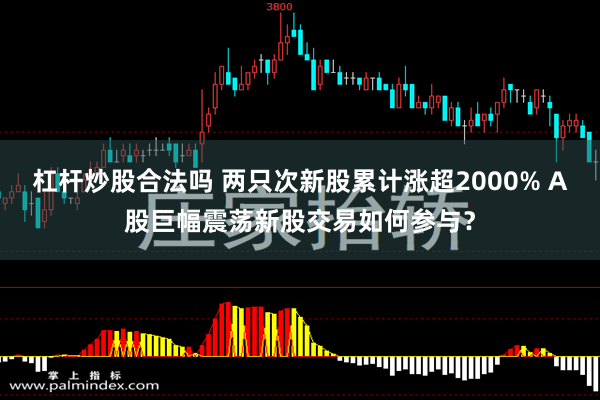 杠杆炒股合法吗 两只次新股累计涨超2000% A股巨幅震荡新股交易如何参与？