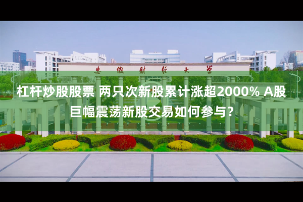 杠杆炒股股票 两只次新股累计涨超2000% A股巨幅震荡新股交易如何参与？