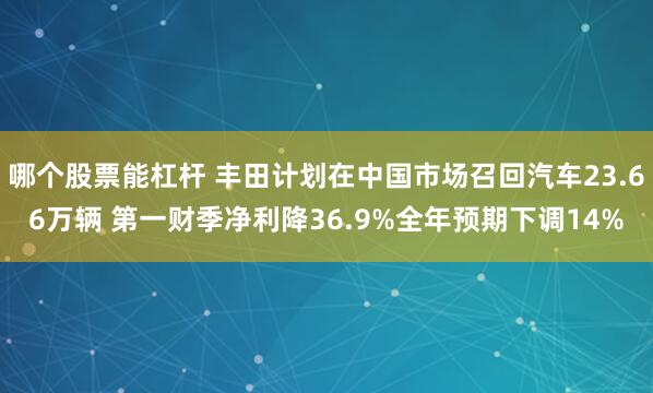 哪个股票能杠杆 丰田计划在中国市场召回汽车23.66万辆 第一财季净利降36.9%全年预期下调14%