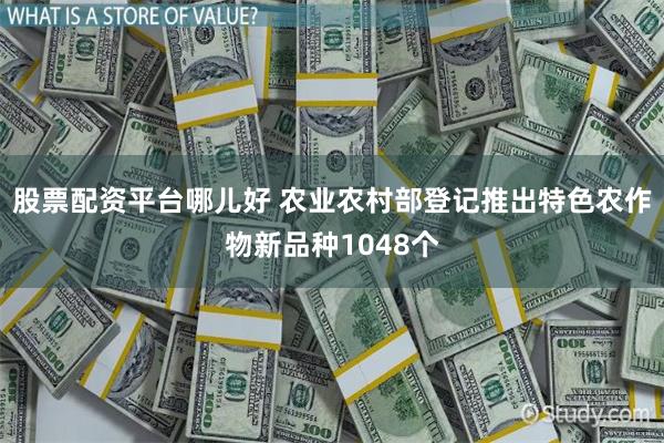 股票配资平台哪儿好 农业农村部登记推出特色农作物新品种1048个