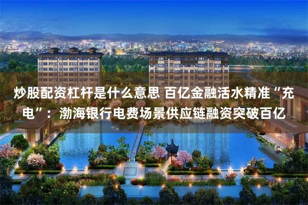 炒股配资杠杆是什么意思 百亿金融活水精准“充电”：渤海银行电费场景供应链融资突破百亿